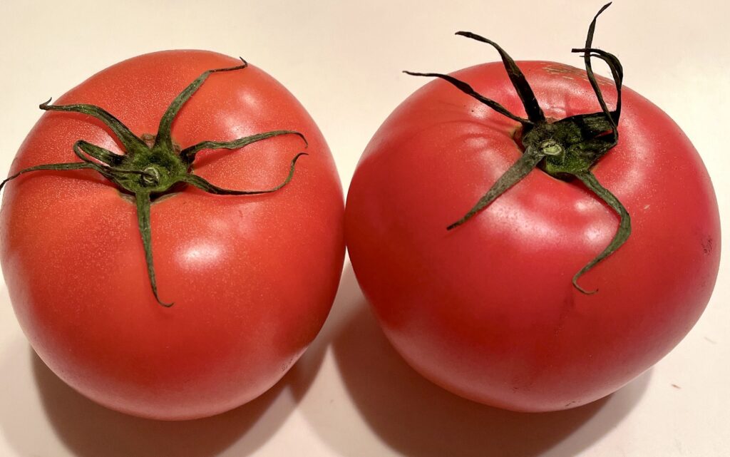 ビオ・マルシェの有機野菜「トマト」