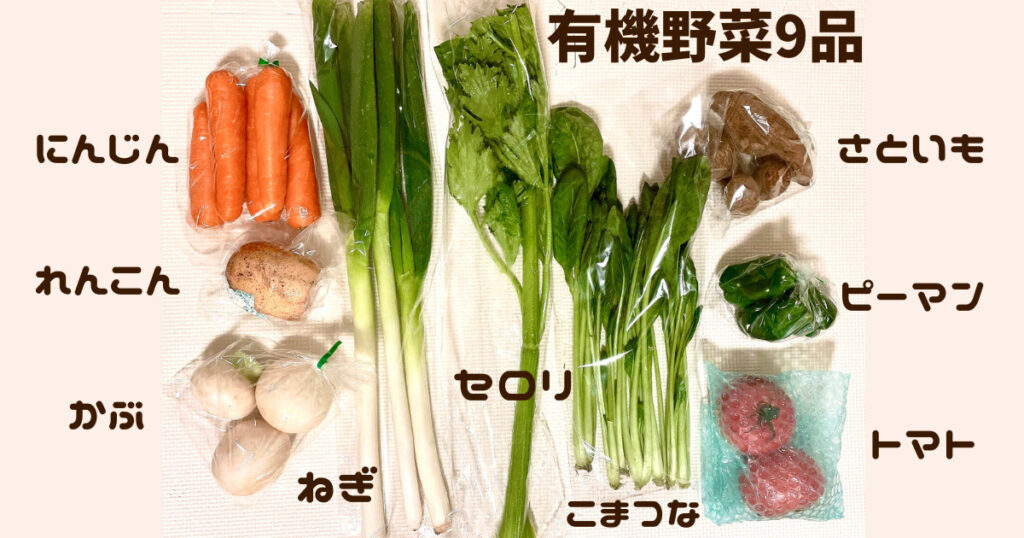 お試しセットの有機野菜9品