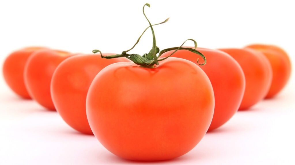 真っ赤なトマトの写真